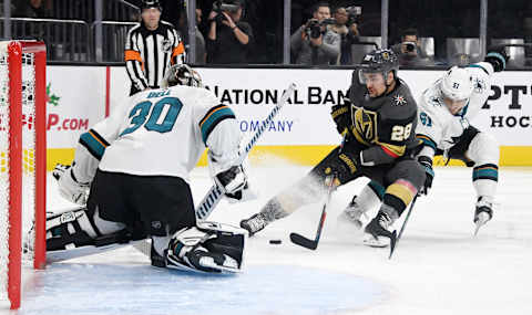 Aaron Dell #30 of the San Jose Sharks. (Photo by Ethan Miller/Getty Images)