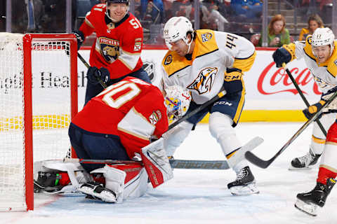 Nashville Predators, 