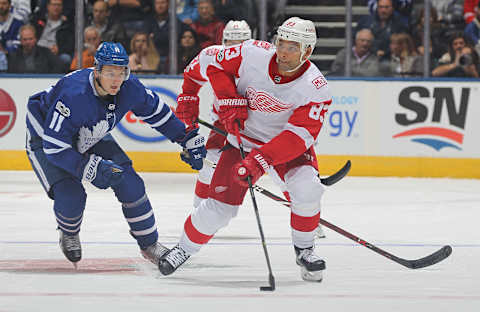 TORONTO, ON – OCTOBER 18: Trevor Daley #83 of the Detroit Red Wings skates away from a checking Zach Hyman #11 of the Toronto Maple Leafs in an NHL game at the Air Canada Centre on October 18, 2017 in Toronto, Ontario. The Maple Leafs defeated the Red Wings 6-3. (Photo by Claus Andersen/Getty Images)