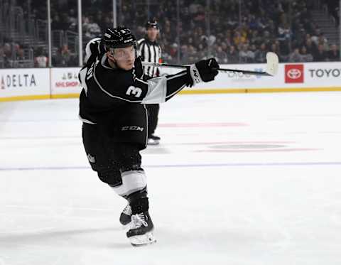 LA Kings (Photo by Bruce Bennett/Getty Images)