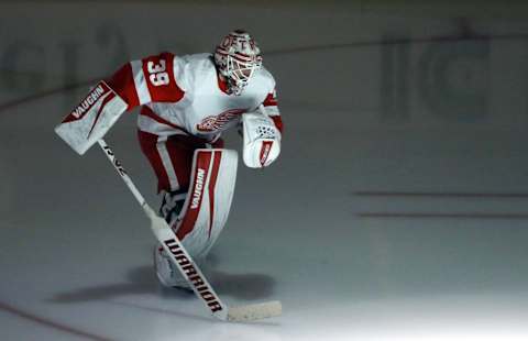 Alex Nedeljkovic of the Detroit Red Wings. Mandatory Credit: Charles LeClaire-USA TODAY Sports