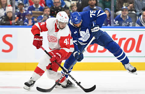 Oct 5, 2023; Toronto, Ontario, CAN; Detroit Red Wings defenseman Shayne Gostisbehere (41) battles for the puck with Toronto Maple Leafs forward Ryan Reaves (75) in the third period at Scotiabank Arena. Mandatory Credit: Dan Hamilton-USA TODAY Sports