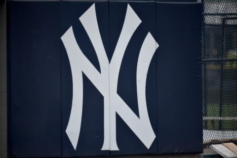 Yankees logo (Photo by Mark Brown/Getty Images)