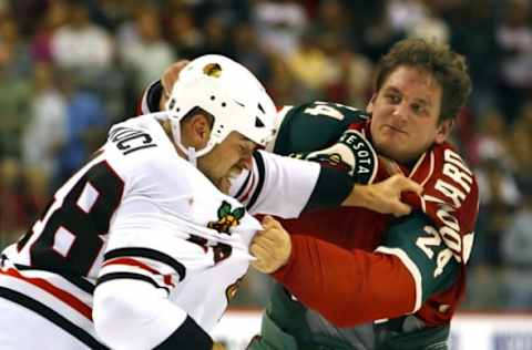 Derek Boogaard #24 of the Minnesota Wild(Photo by Scott A. Schneider/Getty Images)