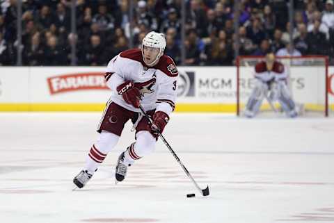 NHL, Keith Yandle (Photo by Victor Decolongon/Getty Images)