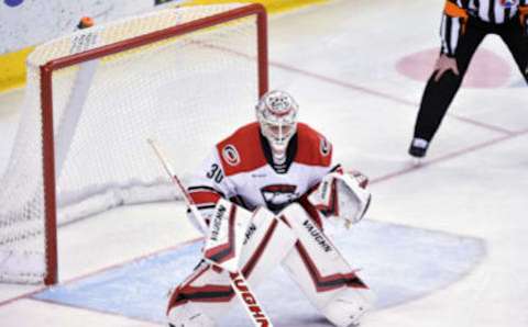 HERSHEY, PA – FEBRUARY 09: Charlotte Checkers goalie Alex Nedeljkovic (30) faces a shot during the Charlotte Checkers vs. Hershey Bears AHL game February 9, 2019 at the Giant Center in Hershey, PA. (Photo by Randy Litzinger/Icon Sportswire via Getty Images)