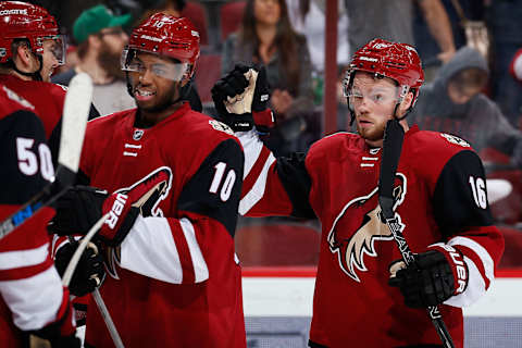 GLENDALE, AZ – FEBRUARY 18: Anthony Duclair