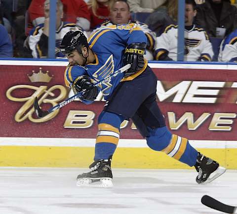 Jamal Mayers #21 of the St. Louis Blues(Photo by Elsa/Getty Images)