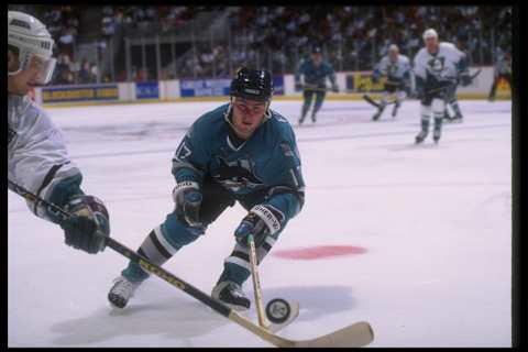 26 Apr 1995: Rightwinger Pat Falloon of the San Jose Sharks moves down the ice during a game against the Anaheim Mighty Ducks at Arrowhead Pond in Anaheim, California. The Sharks won the game, 5-2.