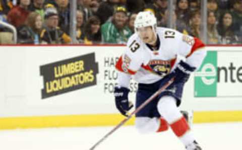 Florida Panthers defenseman Mark Pysyk (13) carries the puck (Charles LeClaire-USA TODAY Sports)