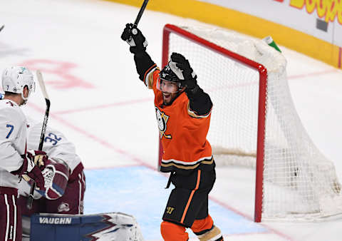 Anaheim Ducks center Adam Henrique (14) Mandatory Credit: Ron Chenoy-USA TODAY Sports