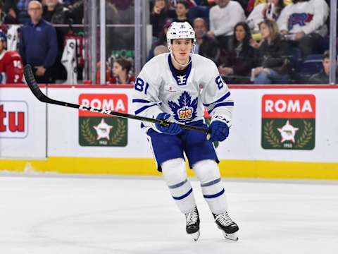 LAVAL, QC – DECEMBER 28: Mac Hollowell #81 of the Toronto Marlies  (Photo by Minas Panagiotakis/Getty Images)