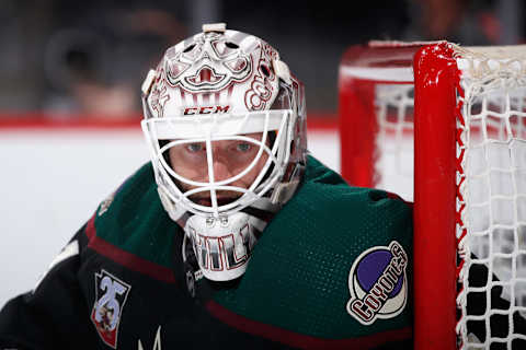 Goaltender Adin Hill #31 of the Arizona Coyotes. (Photo by Christian Petersen/Getty Images)