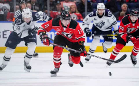 QUEBEC CITY, QC – OCTOBER 18: James Malatesta #11 of the Quebec Remparts (Photo by Mathieu Belanger/Getty Images)