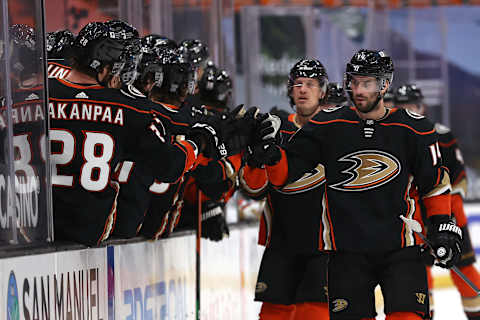 Adam Henrique #14 (Photo by Sean M. Haffey/Getty Images)