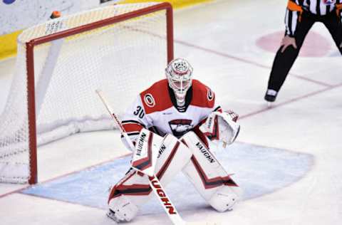 HERSHEY, PA – FEBRUARY 09: Charlotte Checkers goalie Alex Nedeljkovic (30) faces a shot during the Charlotte Checkers vs. Hershey Bears AHL game February 9, 2019 at the Giant Center in Hershey, PA. (Photo by Randy Litzinger/Icon Sportswire via Getty Images)