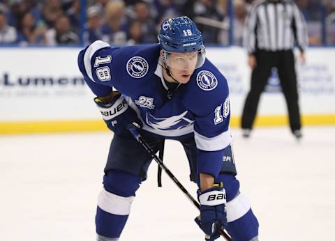 Tampa Bay Lightning left wing Ondrej Palat (18): (Kim Klement-USA TODAY Sports)