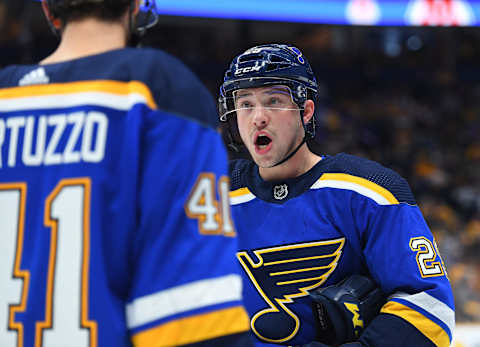 St. Louis Blues defenseman Vince Dunn (29)Mandatory Credit: Christopher Hanewinckel-USA TODAY Sports