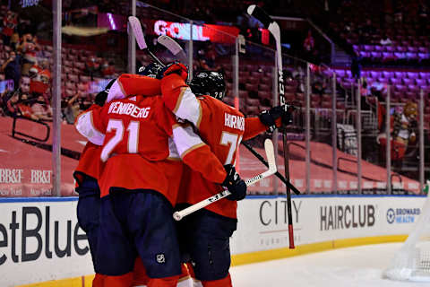 Florida Panthers center Alex Wennberg (21). Mandatory Credit: Jasen Vinlove-USA TODAY Sports