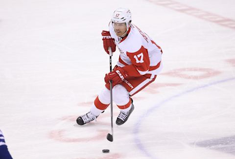 Apr 2, 2016; Toronto, Ontario, CAN; Detroit Red Wings center Brad Richards (17) skates with the puck against the Toronto Maple Leafs at Air Canada Centre. The Red Wings beat the Maple Leafs 3-2. Mandatory Credit: Tom Szczerbowski-USA TODAY Sports