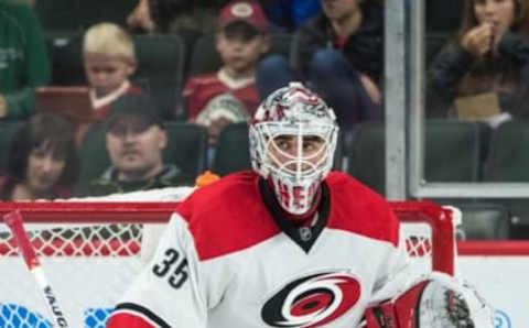 Oct 2, 2016; Saint Paul, MN, USA; Carolina Hurricanes goalie Alex Nedeljkovic (35) during a preseason hockey game against the Minnesota Wild at Xcel Energy Center. The Wild defeated the Hurricanes 3-1. Mandatory Credit: Brace Hemmelgarn-USA TODAY Sports