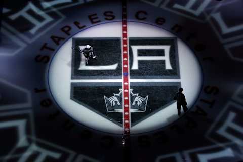 LA Kings (Photo by Victor Decolongon/Getty Images)