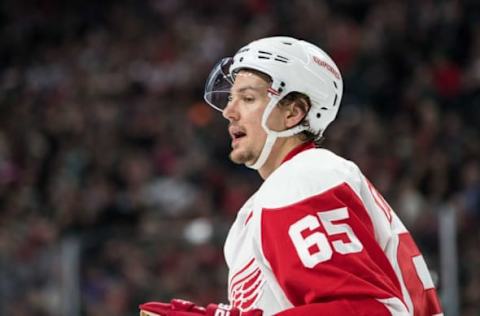 Feb 12, 2017; Saint Paul, MN, USA; Detroit Red Wings defenseman Danny DeKeyser (65) during a game between the Minnesota Wild and Detroit Red Wings at Xcel Energy Center. The Wild defeated the Red Wings 6-3. Mandatory Credit: Brace Hemmelgarn-USA TODAY Sports