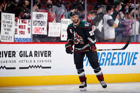 GLENDALE, ARIZONA – MAY 05: Alex Goligoski #33 of the Arizona Coyotes warms up before the NHL game against the Los Angeles Kings at Gila River Arena on May 05, 2021 in Glendale, Arizona. (Photo by Christian Petersen/Getty Images)