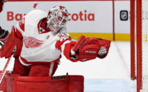 Detroit Red Wings goalie Jimmy Howard (35) makes a save (Eric Bolte-USA TODAY Sports)