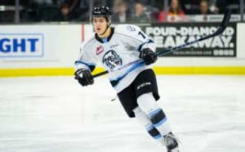 Carson Lambos, Winnipeg Ice (Photo by Christopher Mast/Getty Images)