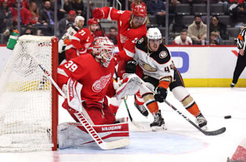 DETROIT, MICHIGAN – JANUARY 31: Alex Nedeljkovic #39 of the Detroit Red Wings watches the puck next to Max Comtois #44 of the Anaheim Ducks during the third period at Little Caesars Arena on January 31, 2022 in Detroit, Michigan. (Photo by Gregory Shamus/Getty Images)