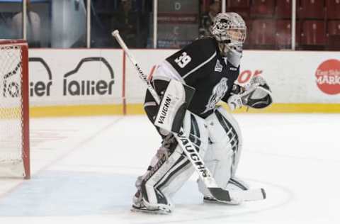 (Photo by Francois Laplante/FreestylePhoto/Getty Images)