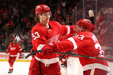 Lucas Raymond and Moritz Seider of the Detroit Red Wings. (Photo by Gregory Shamus/Getty Images)