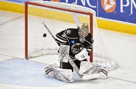 HERSHEY, PA – FEBRUARY 09: Hershey Bears goalie Vitek Vanecek (30) makes a save during the Charlotte Checkers vs. Hershey Bears AHL game February 9, 2019 at the Giant Center in Hershey, PA. (Photo by Randy Litzinger/Icon Sportswire via Getty Images)