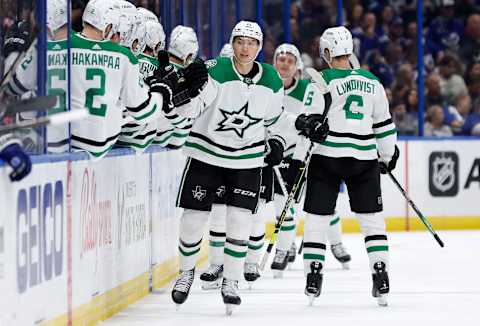 Dallas Stars. (Photo by Mike Ehrmann/Getty Images)