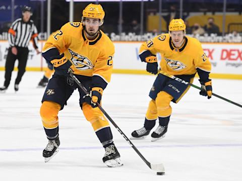 Nashville Predators defenseman David Farrance Mandatory Credit: Christopher Hanewinckel-USA TODAY Sports