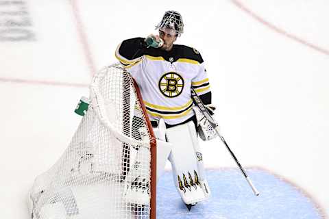 Jaroslav Halak #41 of the Boston Bruins (Photo by Elsa/Getty Images)