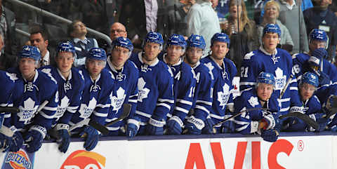 The Toronto Maple Leafs (Photo by Claus Andersen/Getty Images)