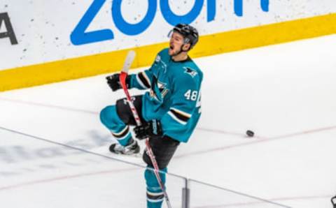 SAN JOSE, CA – JANUARY 15: San Jose Sharks Center Tomas Hertl (48) working towards a hat trick during the game between the Pittsburg Penguins and the San Jose Sharks on Tuesday, January 15, 2019 at the SAP Center in San Jose, CA. (Photo by Douglas Stringer/Icon Sportswire via Getty Images)