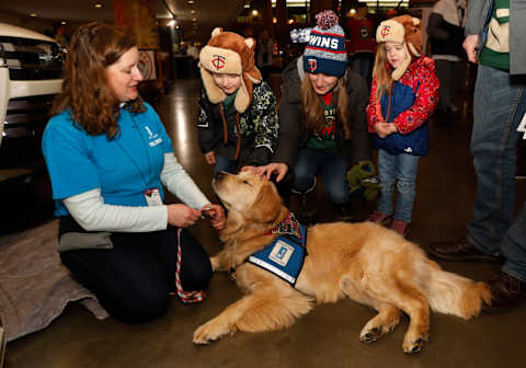 ST. PAUL, MN – JANUARY 15: Fans pet a service dog and speak with a trainer from Helping Paws the Minnesota Wild’s charity of the month before a game with the Los Angeles Kings at Xcel Energy Center on January 15, 2018, in St. Paul, Minnesota.(Photo by Bruce Kluckhohn/NHLI via Getty Images)