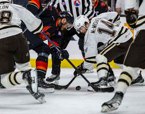 Connor McMichael, Hershey Bears