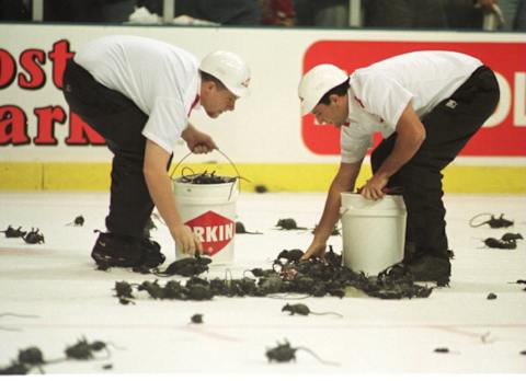 Florida scored a goal during the Stanley Cup Finals: (Glenn Cratty/ALLSPORT/NHL Images)