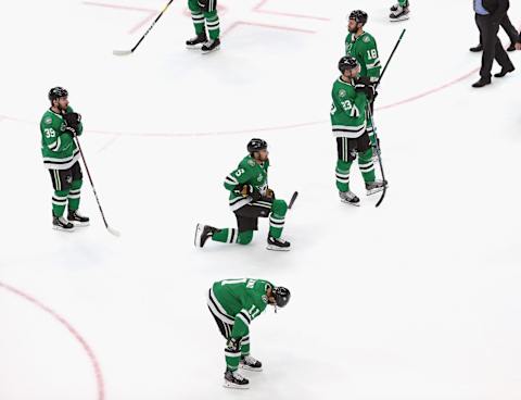 The Dallas Stars. (Photo by Bruce Bennett/Getty Images)