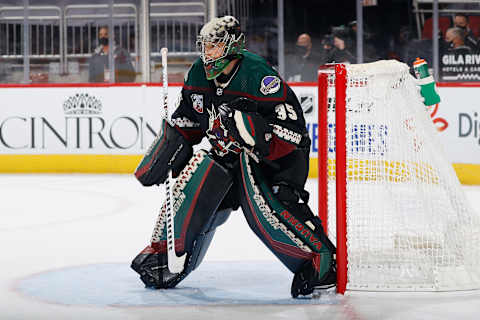 GLENDALE, ARIZONA – JANUARY 22: Goaltender Darcy Kuemper #35 of the Arizona Coyotes  (Photo by Christian Petersen/Getty Images)