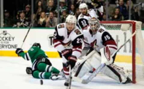 Arizona Coyotes defenseman Oliver Ekman-Larsson (23) and goalie Louis Domingue (35) (Jerome Miron-USA TODAY Sports)