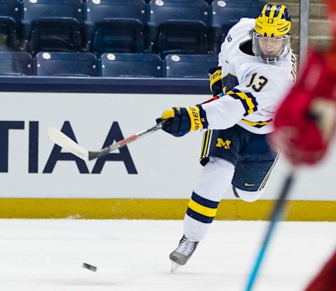 Michigan’s Kent Johnson. Mandatory Credit: Michael Caterina-USA TODAY Sports