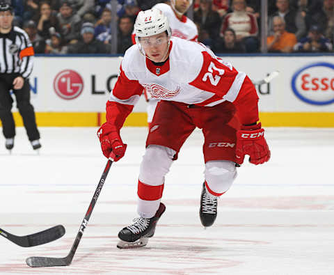 Michael Rasmussen, Detroit Red Wings (Photo by Claus Andersen/Getty Images)