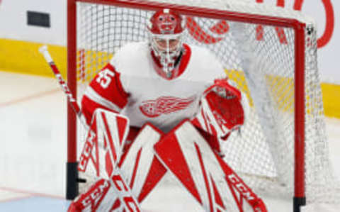 Detroit Red Wings: Former netminder Jonathan Bernier retires