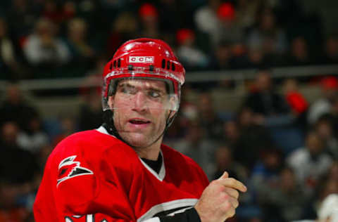 2003 Season: Player Sean Hill of the Carolina Hurricanes. (Photo by Bruce Bennett Studios via Getty Images Studios/Getty Images)