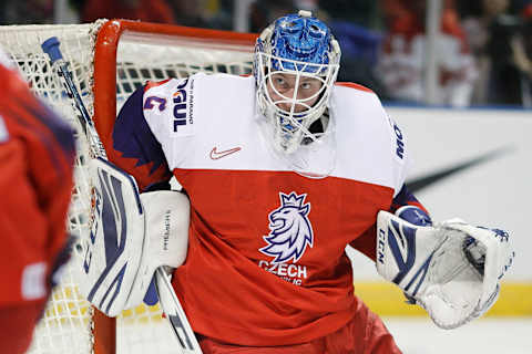 Goaltender Lukas Dostal #2 of the Czech Republic (Photo by Kevin Light/Getty Images)